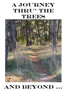 A journey thru' the trees and beyond - Jim devotional image